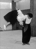 Ganseki Otoshi